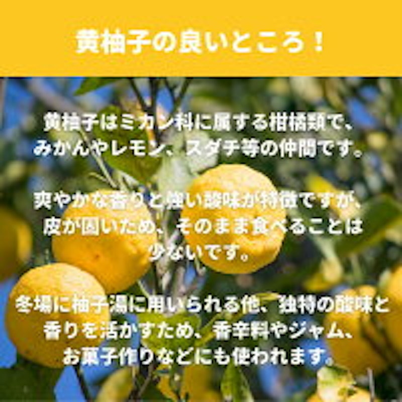 黄柚子 2