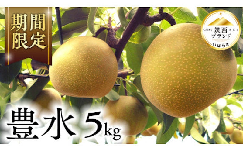 筑西ブランド認証品 豊水 1