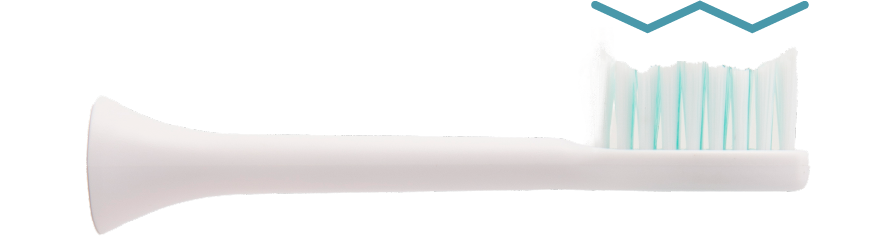 Dentaly 5