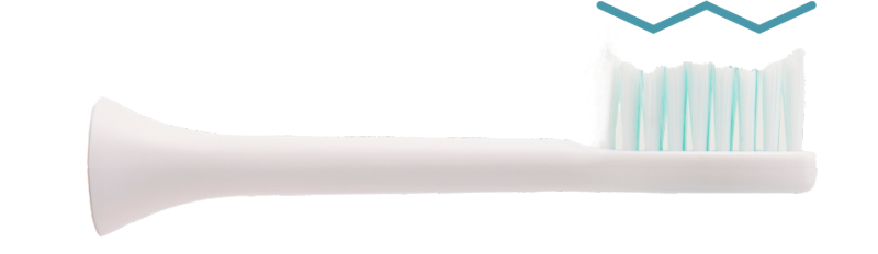 Dentaly 5