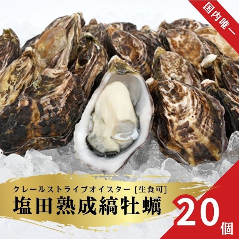 塩田熟成縞牡蠣 クレールストライプオイスター 1