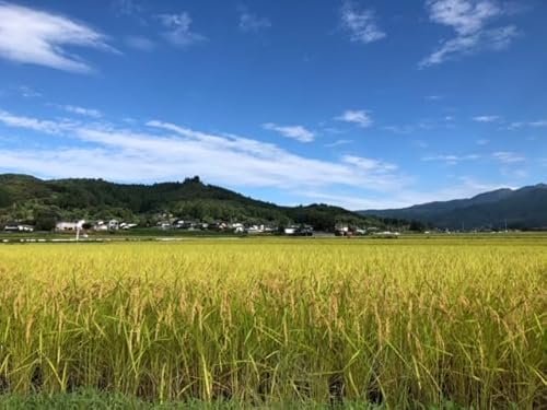 金井さんのアイガモ農法白米 2