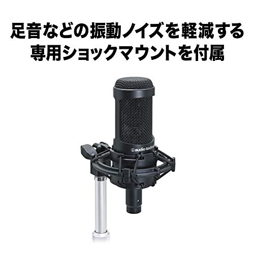 DCバイアス・コンデンサー・マイクロホン 2