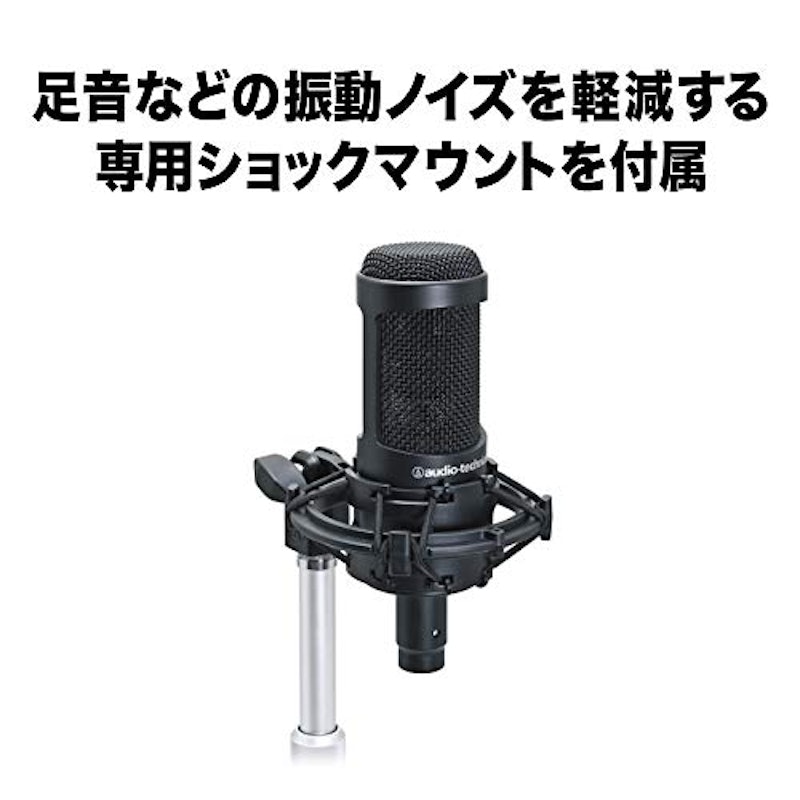 DCバイアス・コンデンサー・マイクロホン 2