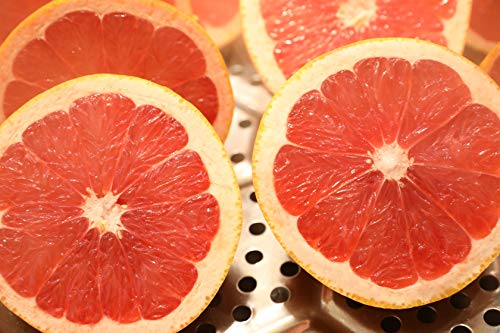 21年 通販お取り寄せグレープフルーツのおすすめ人気ランキング9選 Mybest