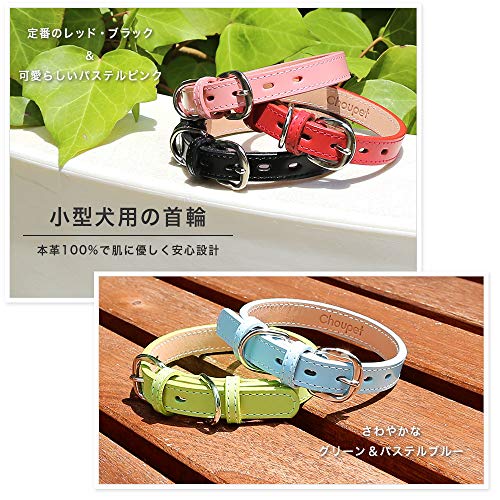 首輪 8
