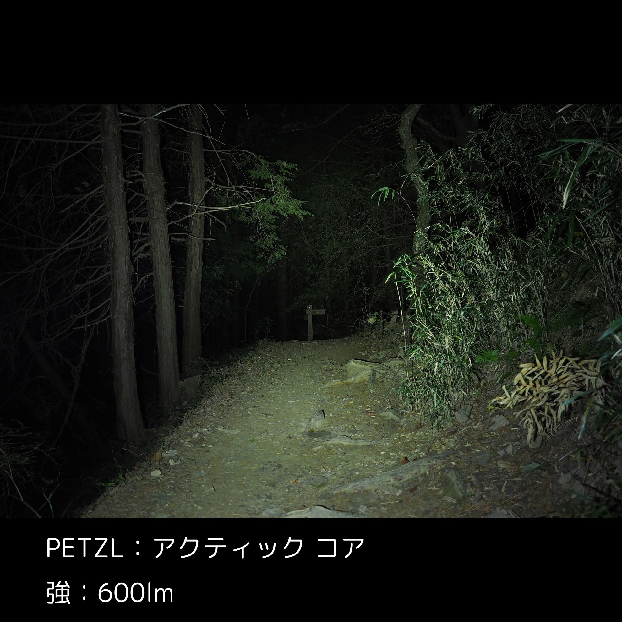 アクティック コア 2