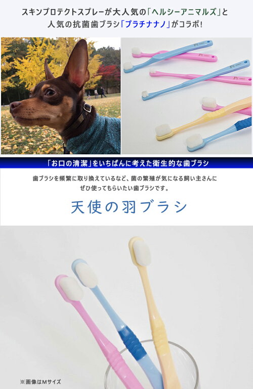 天使の羽ブラシ 2