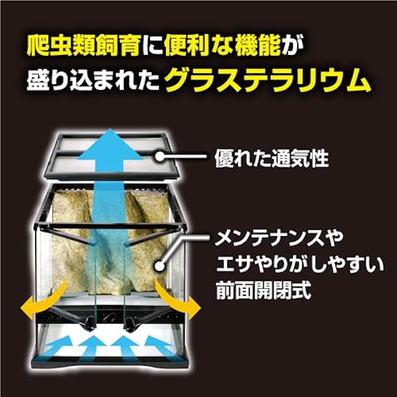 レオパ飼育キット 4