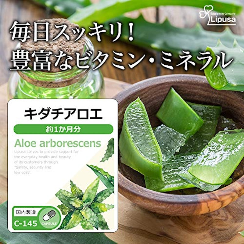 キダチアロエ 2