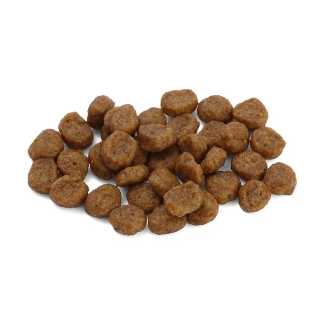 ネイティブドッグ プレミアムチキン 子犬用3kg　送料無料／一部地域は送料別-Native Dog 本店