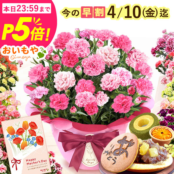 母の日向けお花プレゼントのおすすめ人気ランキング【2026年4月】 1