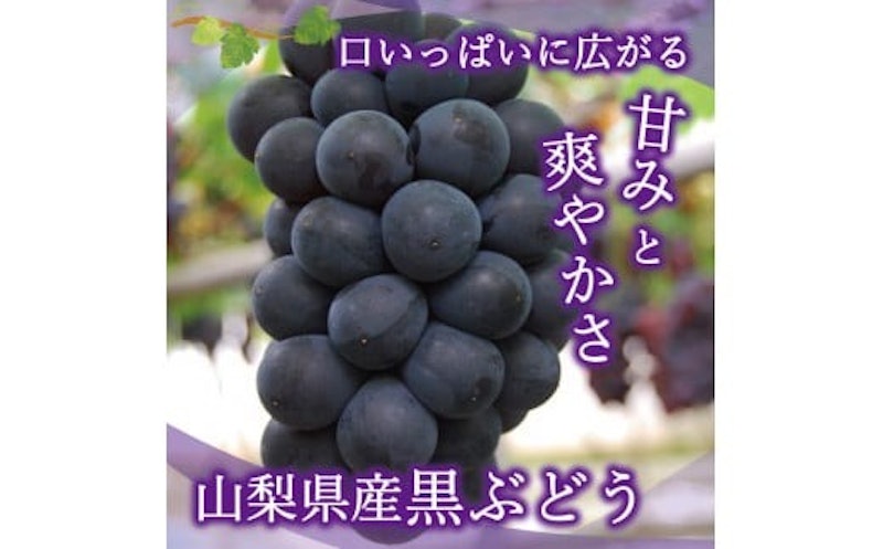 4回お届けフルーツ定期便 2