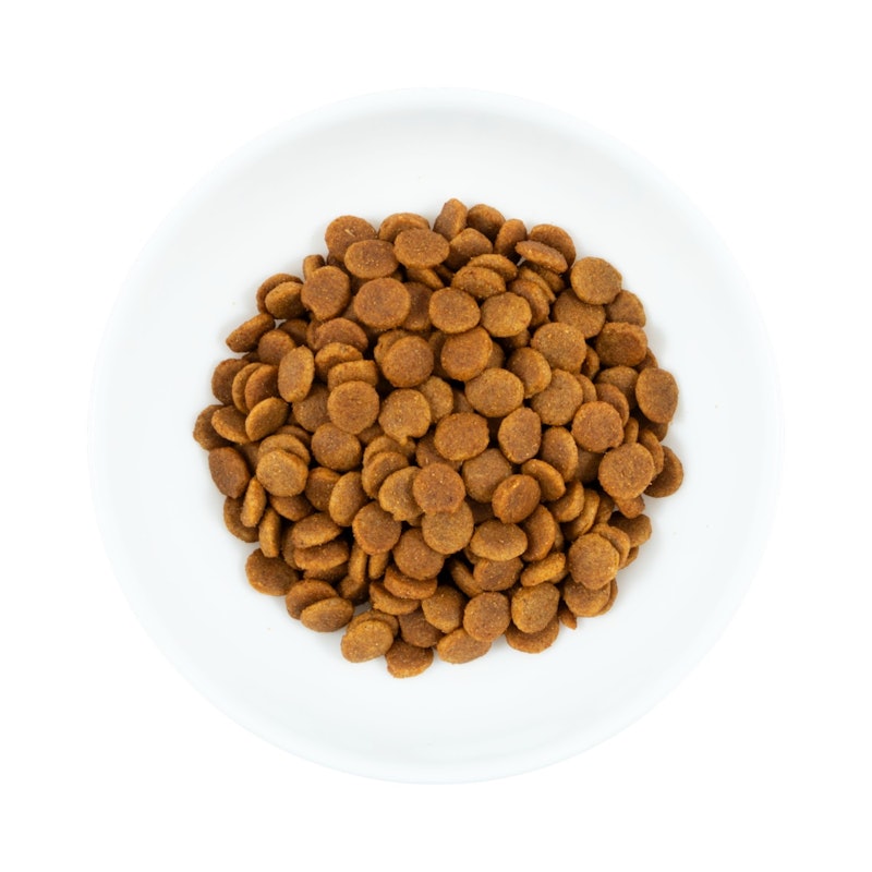 成犬用 健康維持用 チキン小粒 7