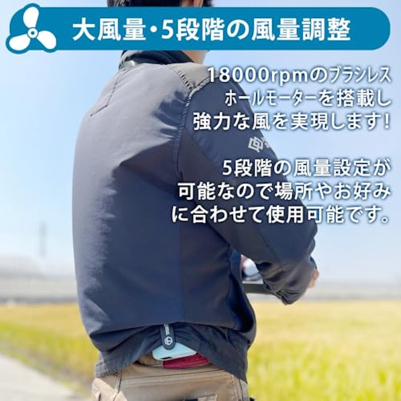 ベルトファン 4