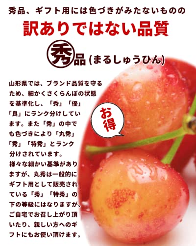 山形県産 紅秀峰 3