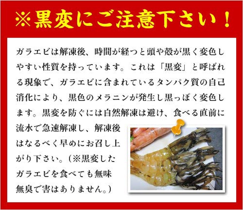 越前がらえび 5