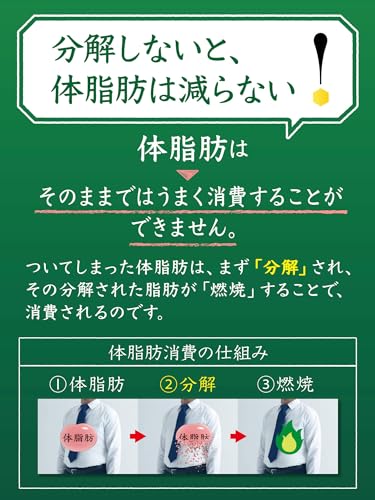 カフェインZERO 4