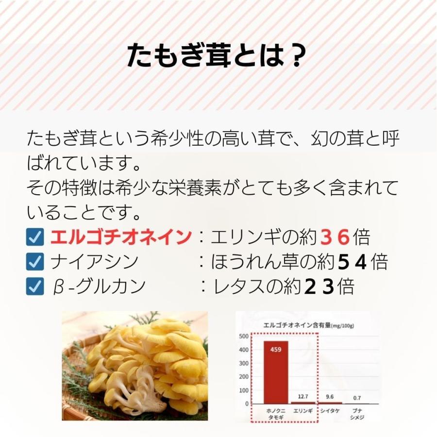 たもぎ美人 3