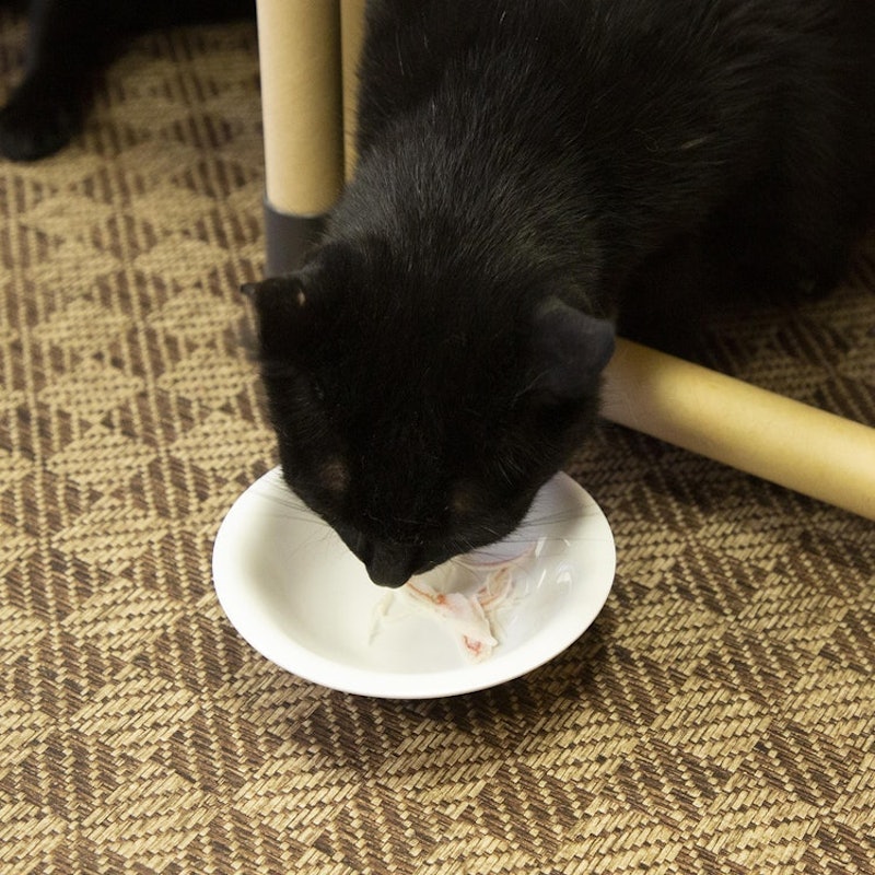 ネコちゃんの歯みがきおやつ カニ風味かま 7
