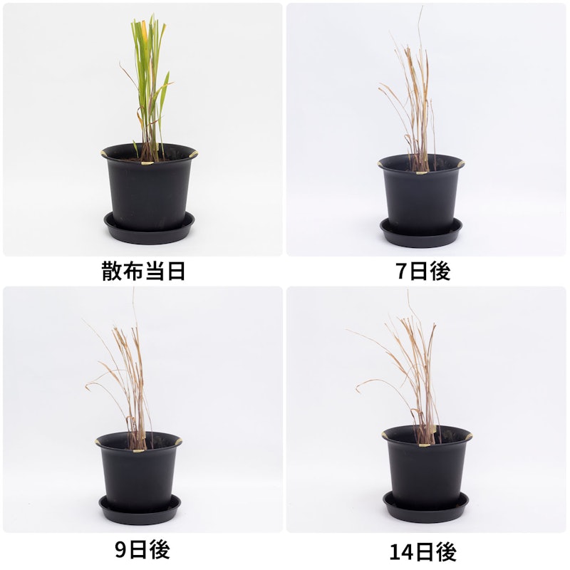 カダン除草王シリーズプロ 除草王シャワーS 4