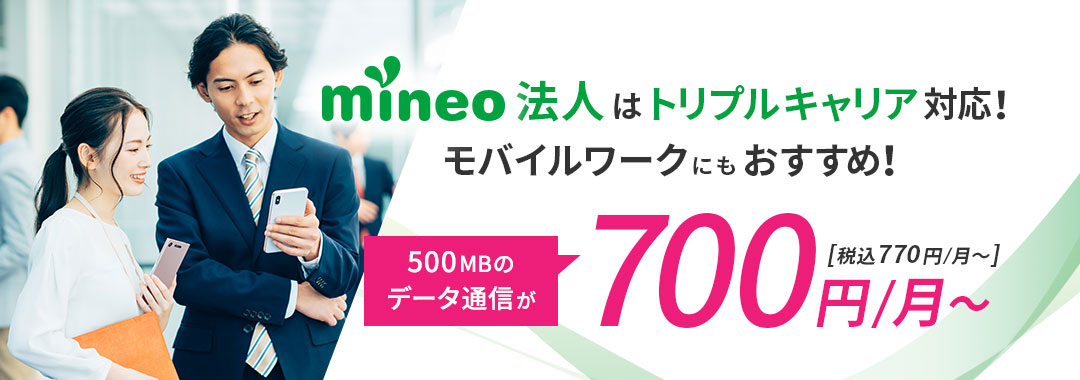 法人携帯向け格安SIM 3