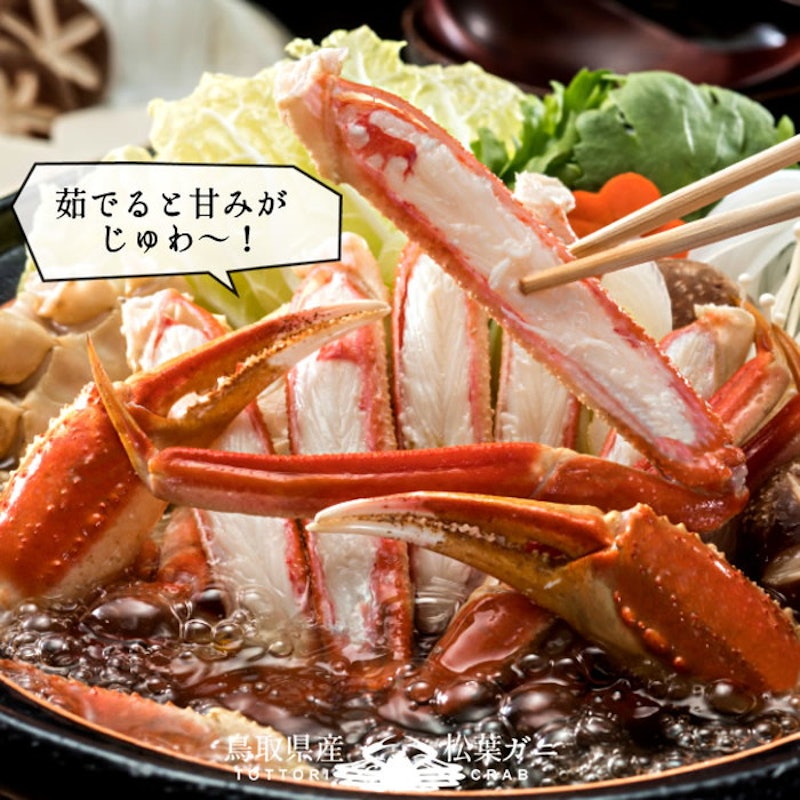 松葉がに 浜茹で・タグ付 8