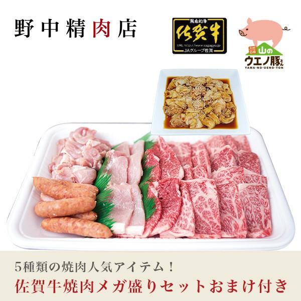 国産牛肉 焼肉セット 2