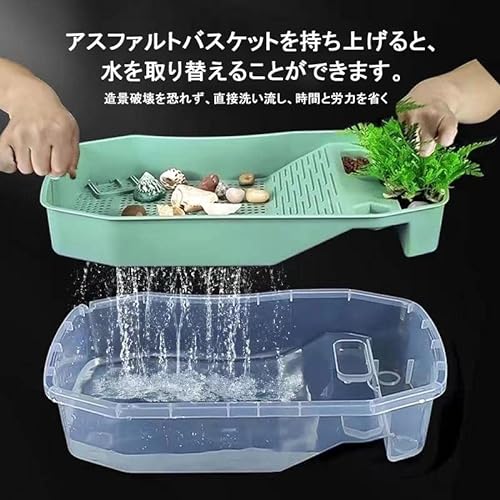 亀の飼育用水槽のおすすめ人気ランキング【2025年】 | マイベスト