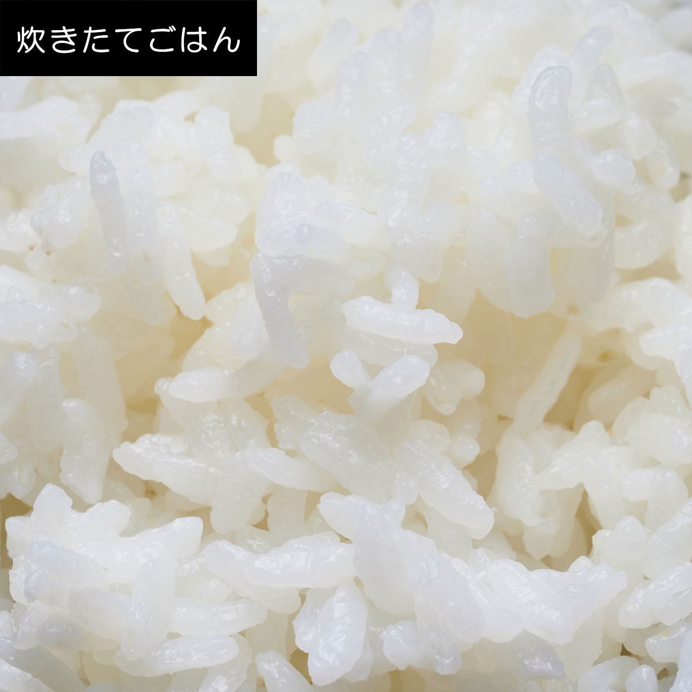 可変圧力IHジャー炊飯器 9