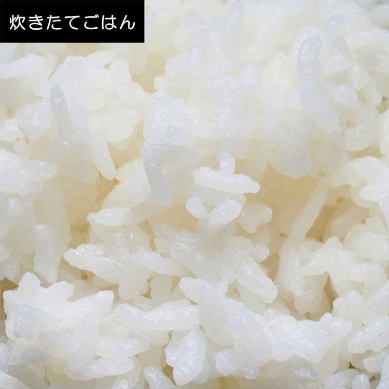 可変圧力IHジャー炊飯器 9