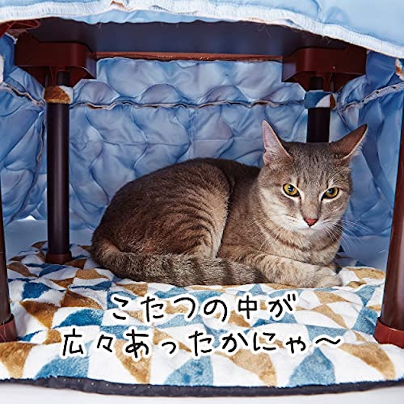 カラダ全体をあたためるペットのための電気こたつ2 6