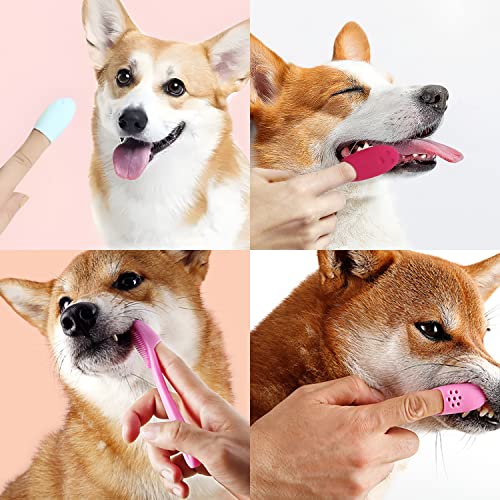ペット用歯ブラシ 6