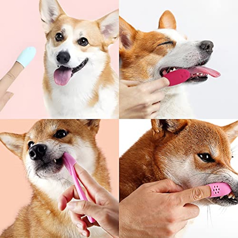 ペット用歯ブラシ 6
