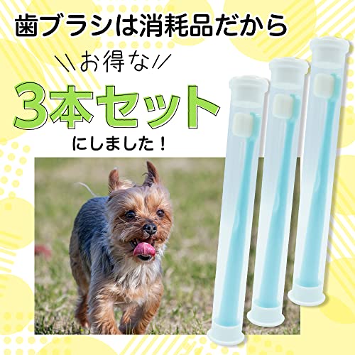 歯ブラシ 5