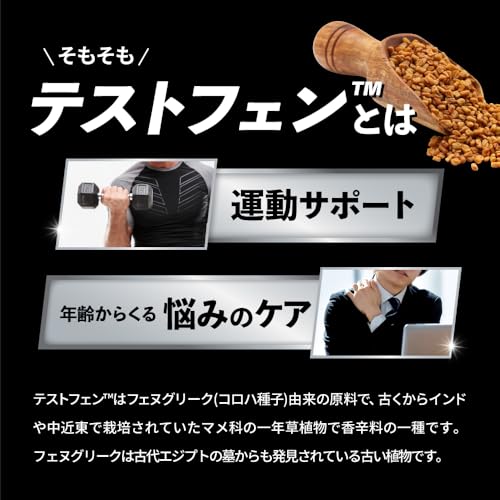 テストフェン18000 3