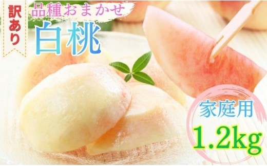 山形県産 白桃 1
