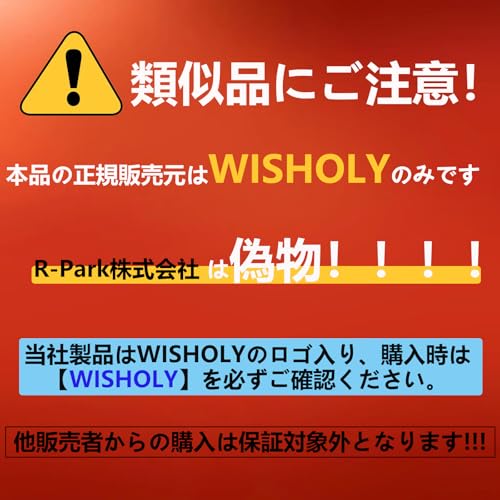 家庭用プロジェクター 2
