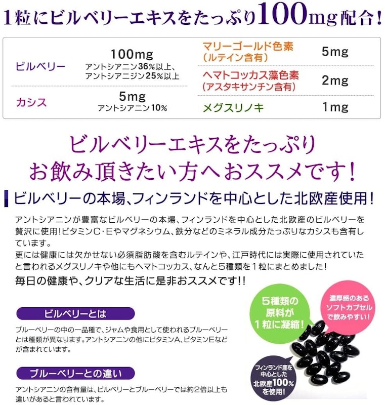 ビルベリー 2