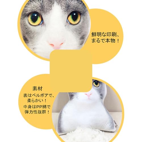 オーダーペットクッション 3