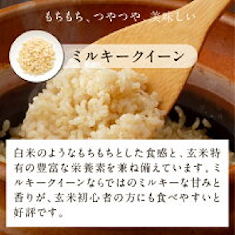 ミルキークイーン パックごはん 玄米 3