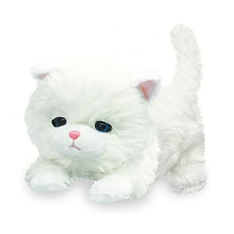 ねむねむにゃんこ ブランちゃん 1