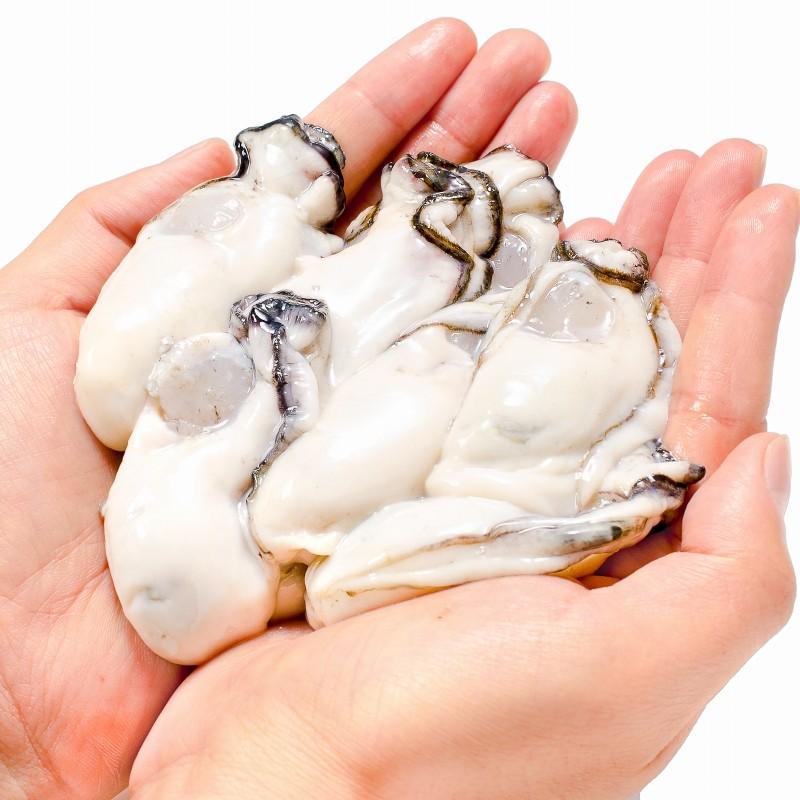  生牡蠣 5