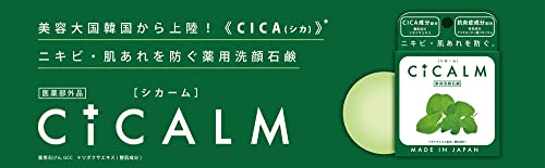 CICALM 3