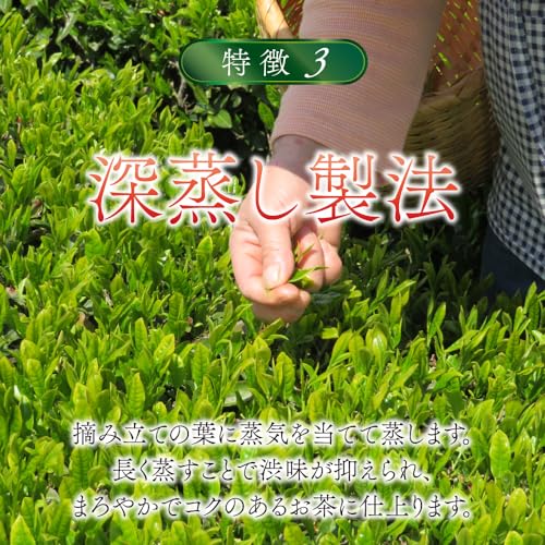 国産カフェインレス緑茶 4