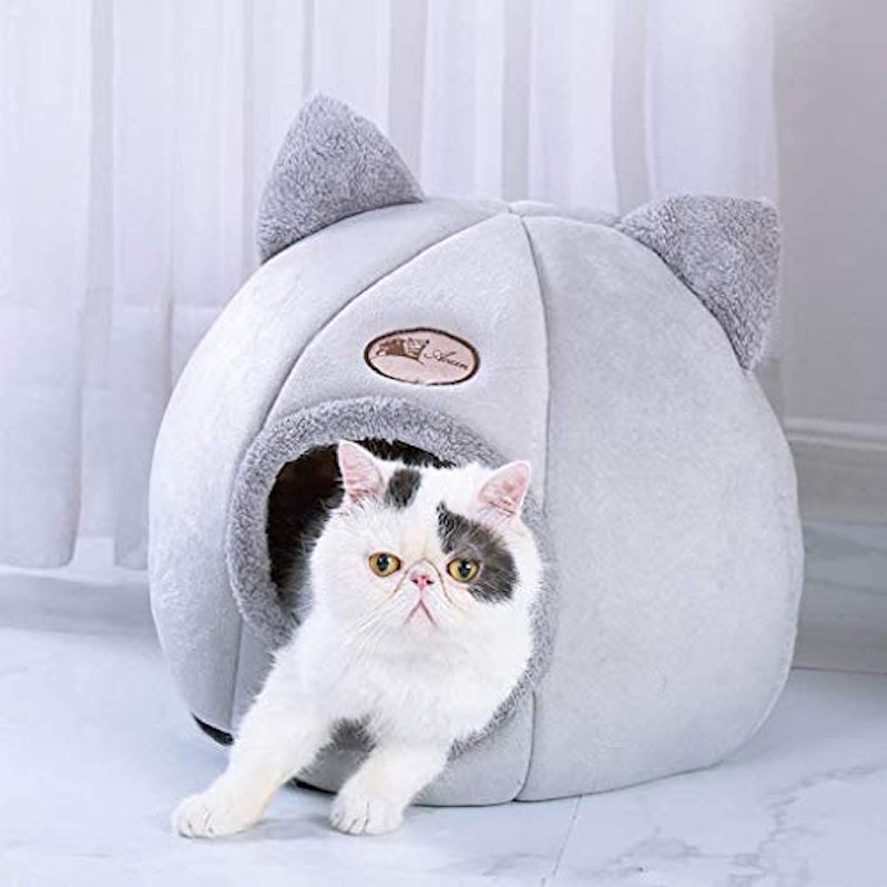 猫ハウス 2