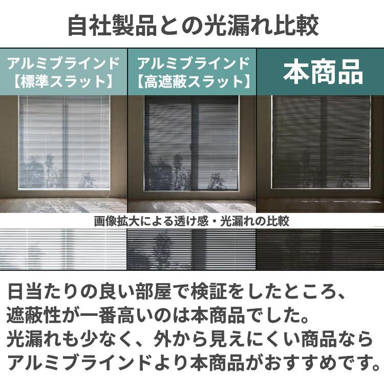 ブラインド 6