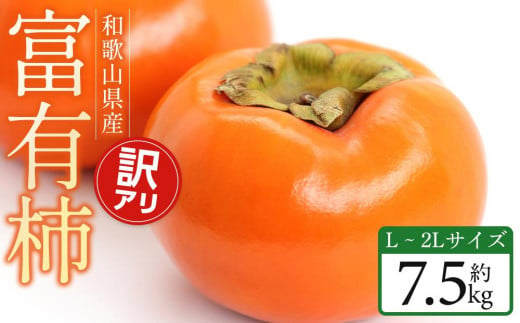 富有柿 1