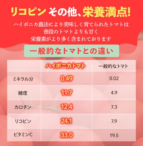海陽のトマト 中玉トマト 3