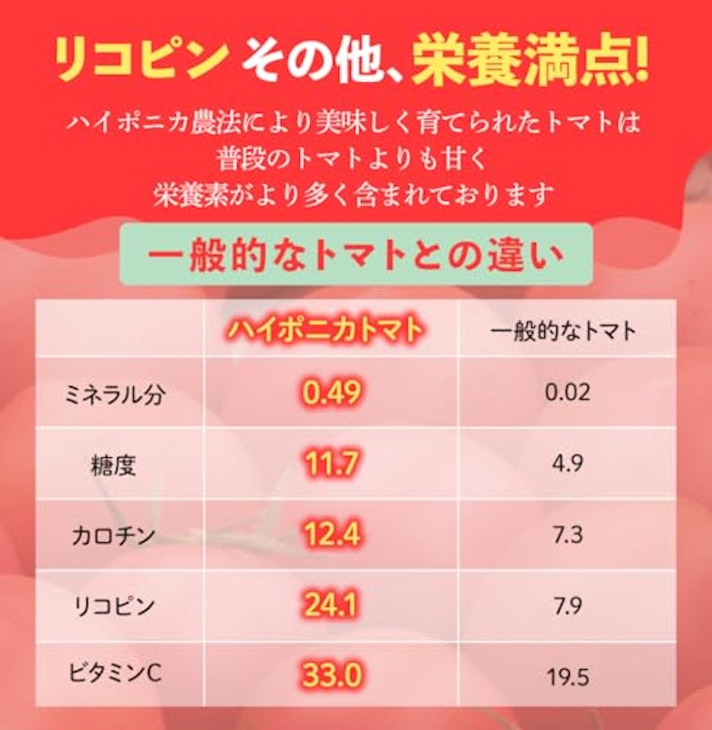 海陽のトマト 中玉トマト 3